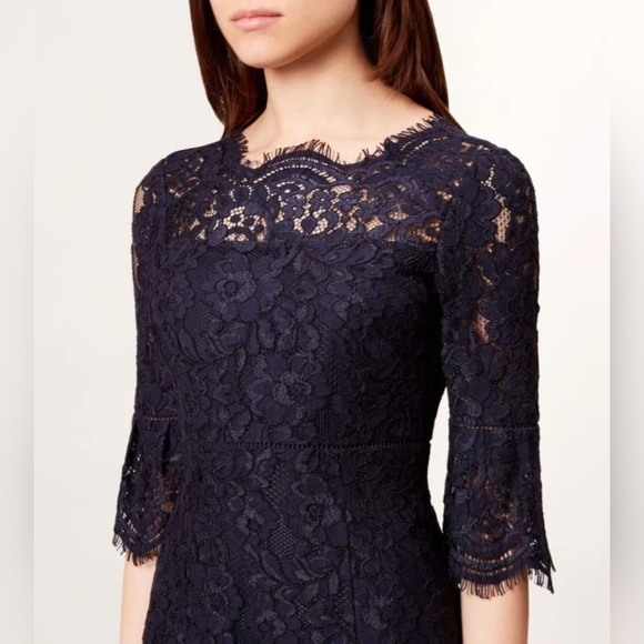 HOBBS VANESSA PENCIL DRESS NAVY LACE SIZE US 4 NWT - Picture 4 of 16